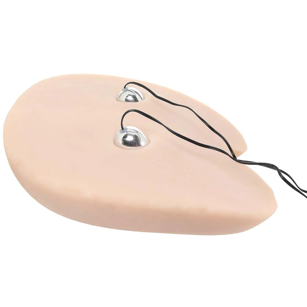 Bree Olson Barely Legal Doggy Style Pussy & Ass